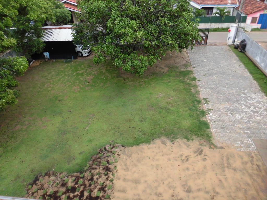 Pick & Go White House Bed and Breakfast Negombo Eksteriør billede